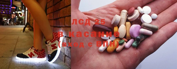 стаф Бородино