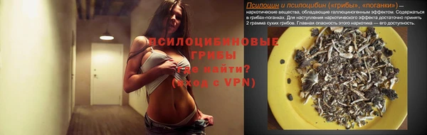 ешки Бугульма