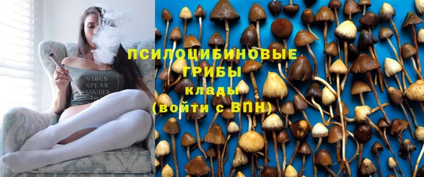 ешки Бугульма