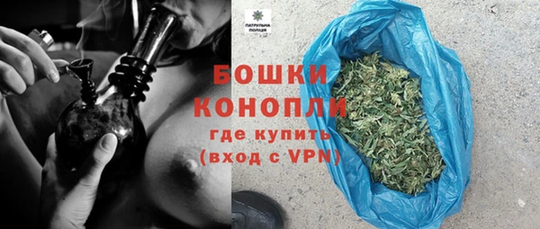 стаф Бородино